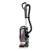 NV680UKT True Pet Upright Bagless Vacuum Cleaner - Steel Grey & Bordeaux