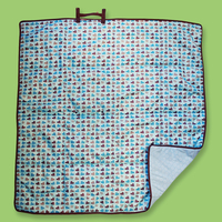 Close Pop-in Blue Turtle Playmat
