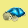 Cloud B Twilight Turtle Tunes™