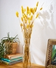Beautiful Faux Bunny Tail Grass