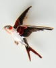 Enamelled Swallow Pin