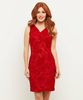 Fancy Flocked Dress