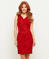 Fancy Flocked Dress
