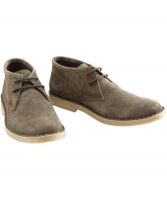 New Suede Desert Boot