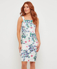 Printed Lace Dress