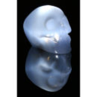 50Fifty Skull Light - White