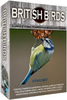 British Birds - Triple Pack