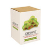 Grow It: Carnivorous Plants