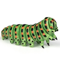 Caterpillar