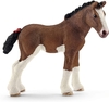 Clydesdale Foal