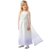 Frozen 2 Elsa Epilogue Dress