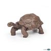 Galapagos Tortoise