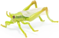 Grasshopper