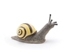 Grove Snail