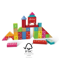 Hamleys 100 Building Blocks