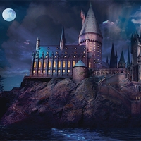 Harry Potter Hogwarts Castle Maxi Poster