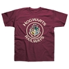 Harry Potter Hogwarts Railways Children