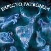 Harry Potter Patronus Maxi Poster