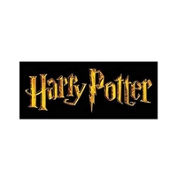 Harry Potter: Quidditch Robe XS