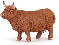 Highland Cattle