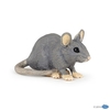 House Mouse