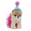 Itty Bitty Dog Boo at Birthday Party