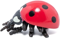 Ladybird