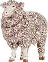 Merinos Ewe