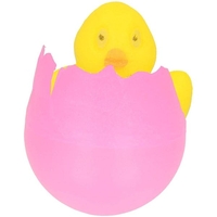 Mini Hatching Egg Chick