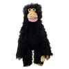 Primate Medium Chimp