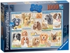 Ravensburger Dutiful Dogs 1000Pc Jigsaw Puzzle