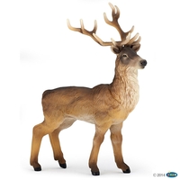 Stag