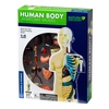 Thames & Kosmos Human Body Anatomy Model