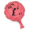 Tobar Whoopee Cushion
