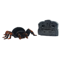 Wall Tarantula