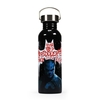 Water Bottle (Metal) DC Comics (Batman Villains)