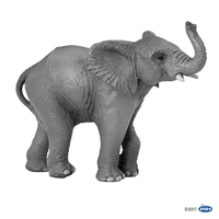 Young Elephant