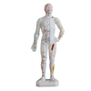 66fit Acupuncture Male Model - 26cm