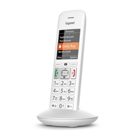 Siemens Gigaset Premium E370H Additional Handset