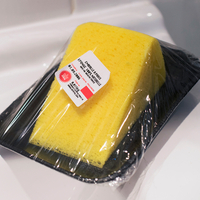 Cheese Sponge
