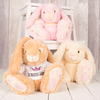Personalised Bunny With T-Shirt - Princess