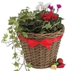 Gift 1 Christmas Willow Basket