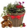 Gift 1 Willow Christmas Basket and Teddy