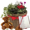 Gift 1 Willow Christmas Basket with a Diary and Teddy