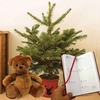 Gift Christmas LED Tree with Red Pot Diary and Teddy