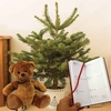 Gift Christmas LED Tree with White Pot Diary and Teddy