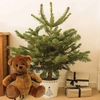 Gift Christmas LED Tree with White Pot and Teddy