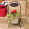 Gift Glowing Greetings Basket Stand with Cyclamen and LED Lights