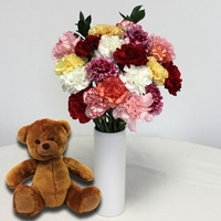 Mixed Carnations 20 Stems + Vase + Cuddly Teddy
