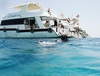 4 Islands Boat Trip - From Hurghada
